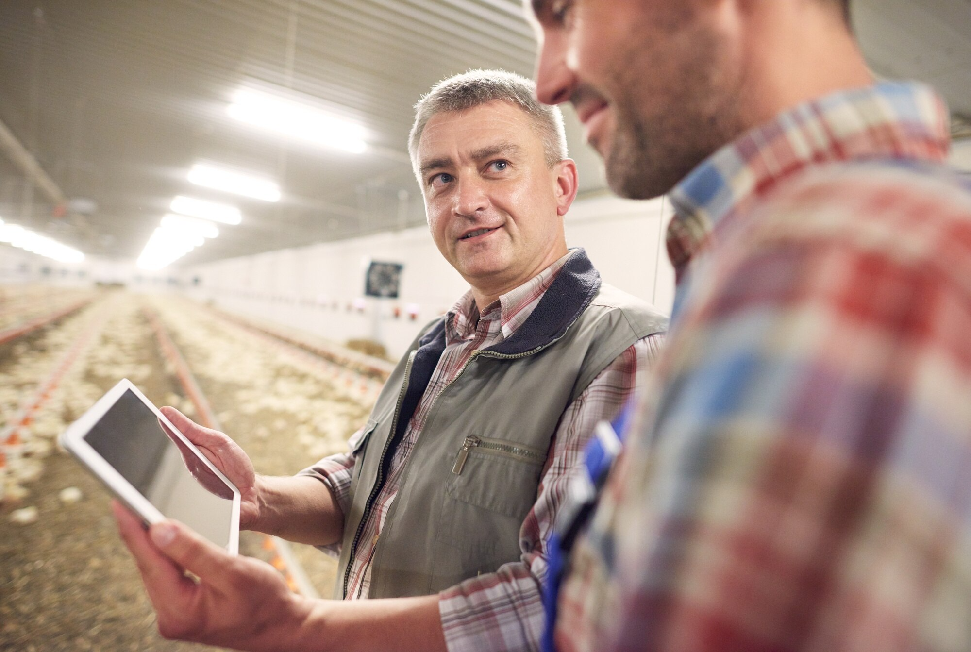 Smart livestock management technology